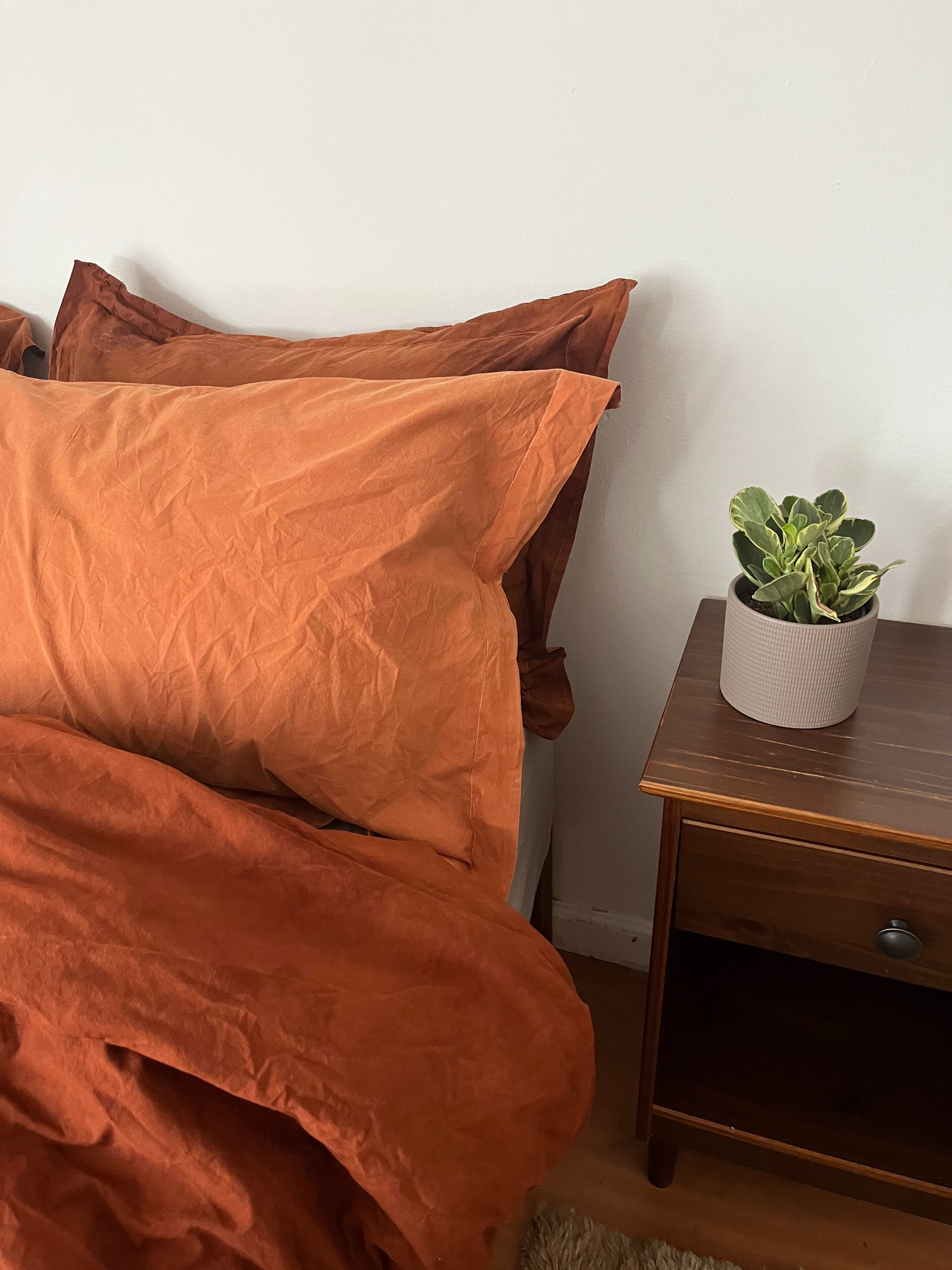 Plant dyed bedding